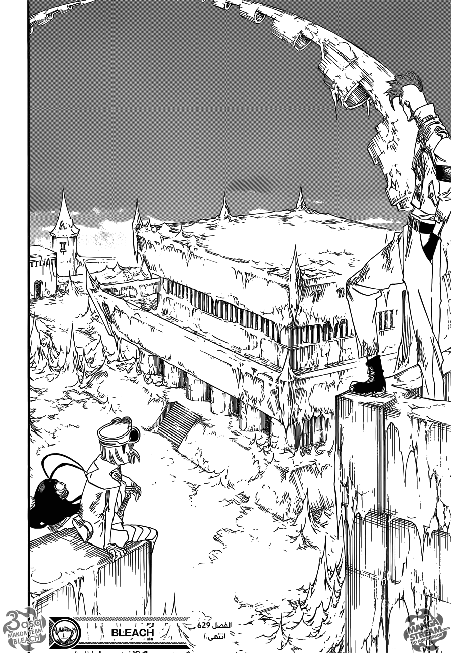 Read Bleach AR Manga Online