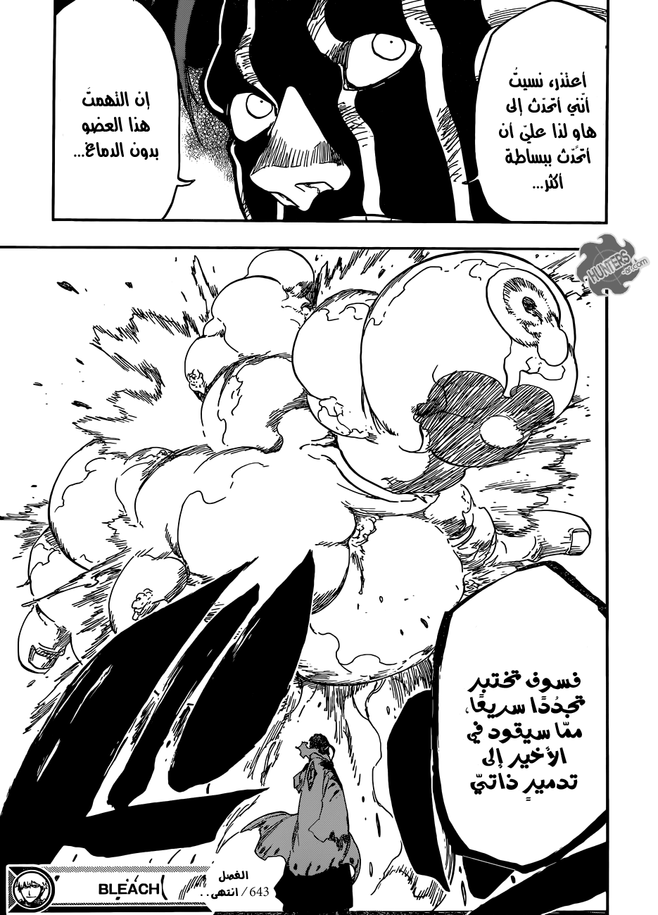 Read Bleach AR Manga Online