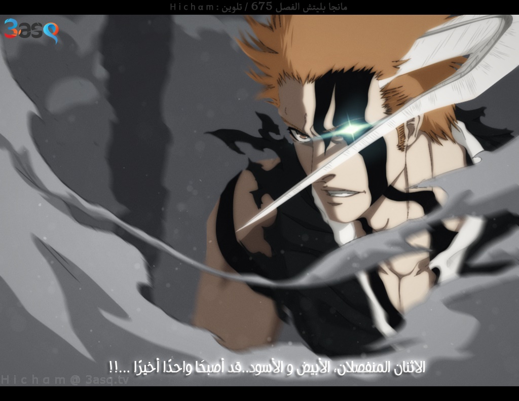 Read Bleach AR Manga Online