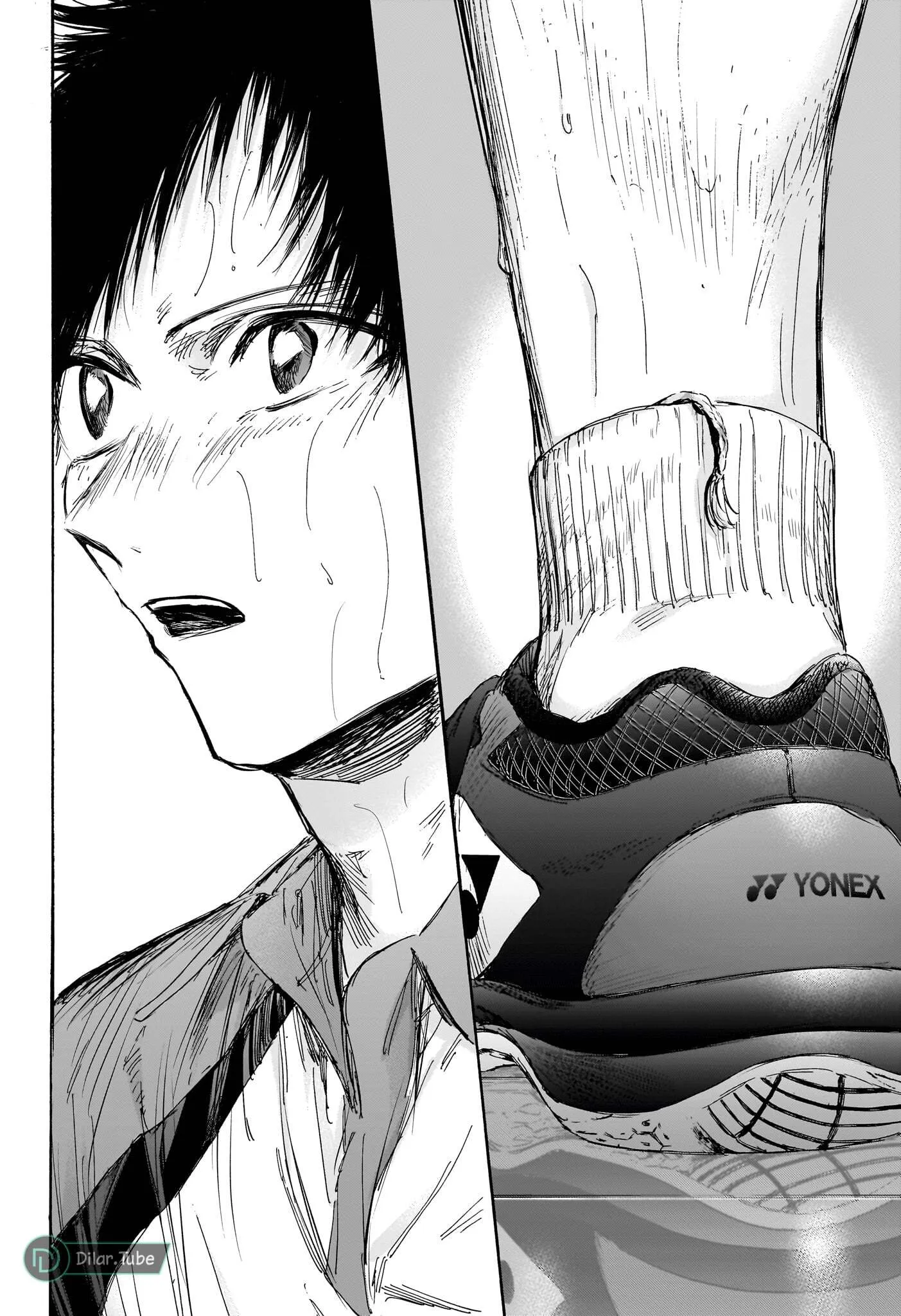 Read Blue Box AR Manga Online