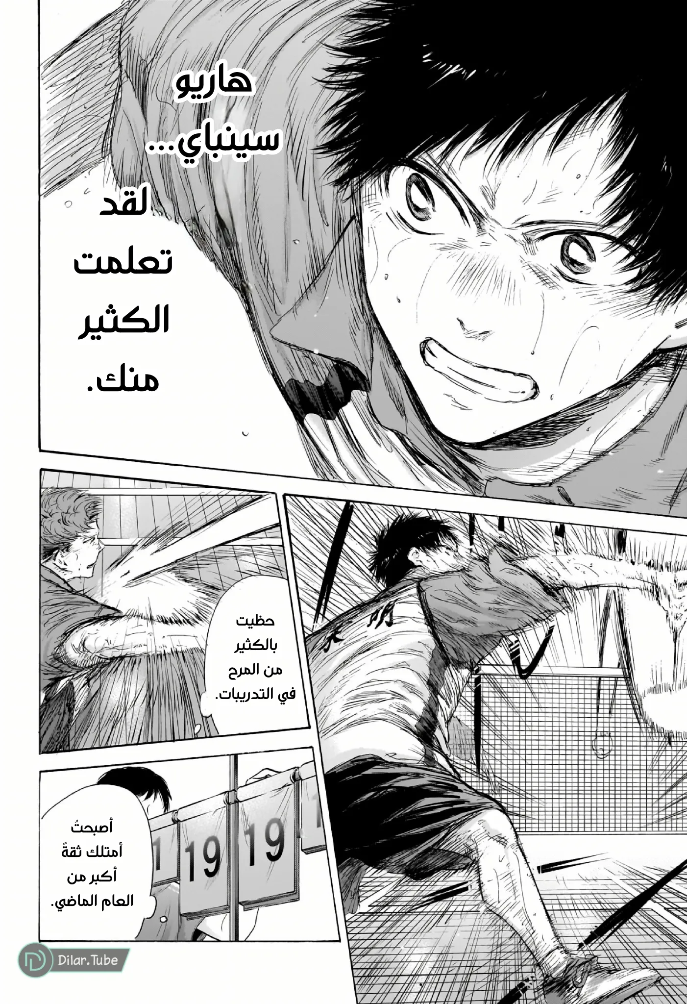 Read Blue Box AR Manga Online
