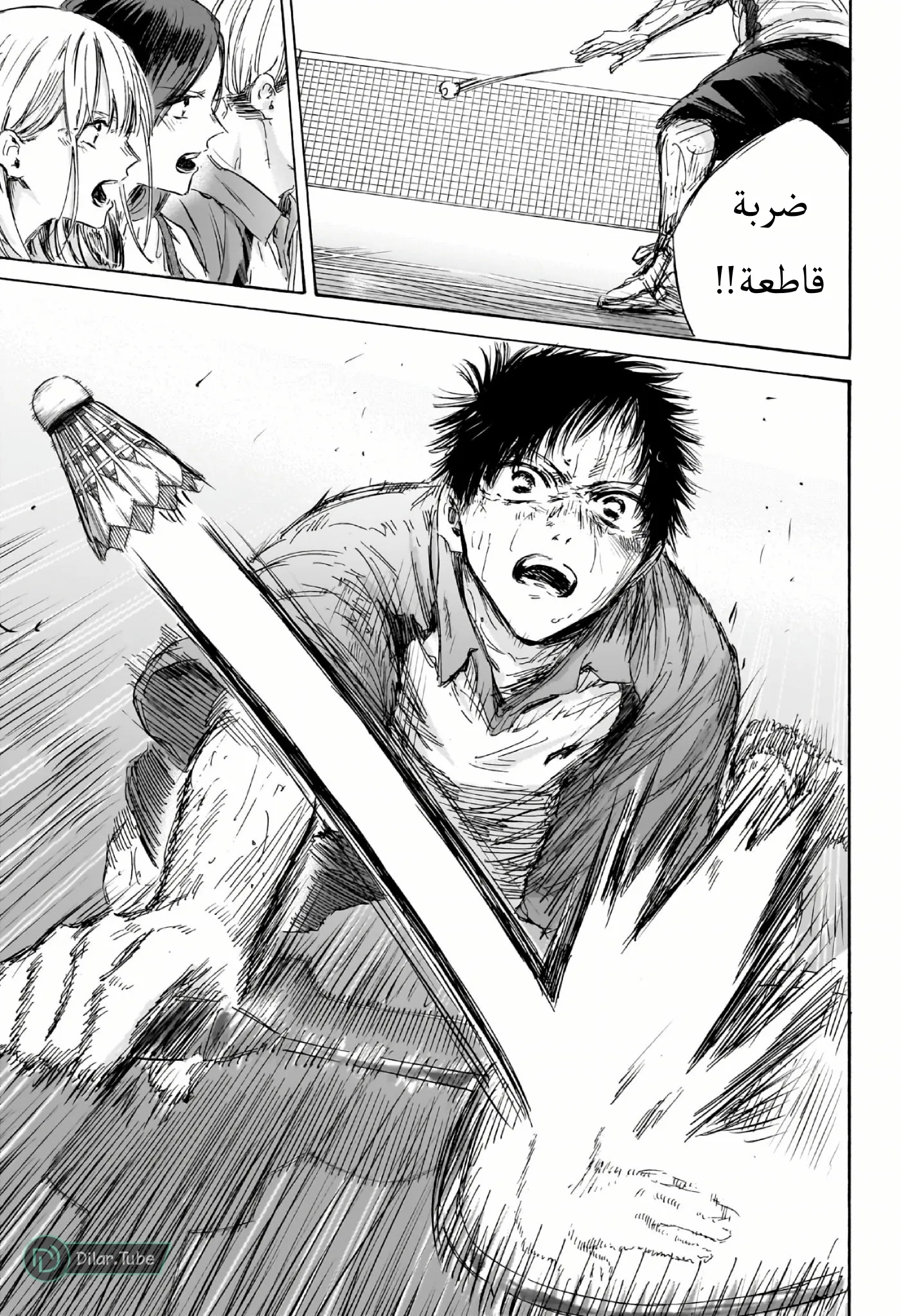Read Blue Box AR Manga Online