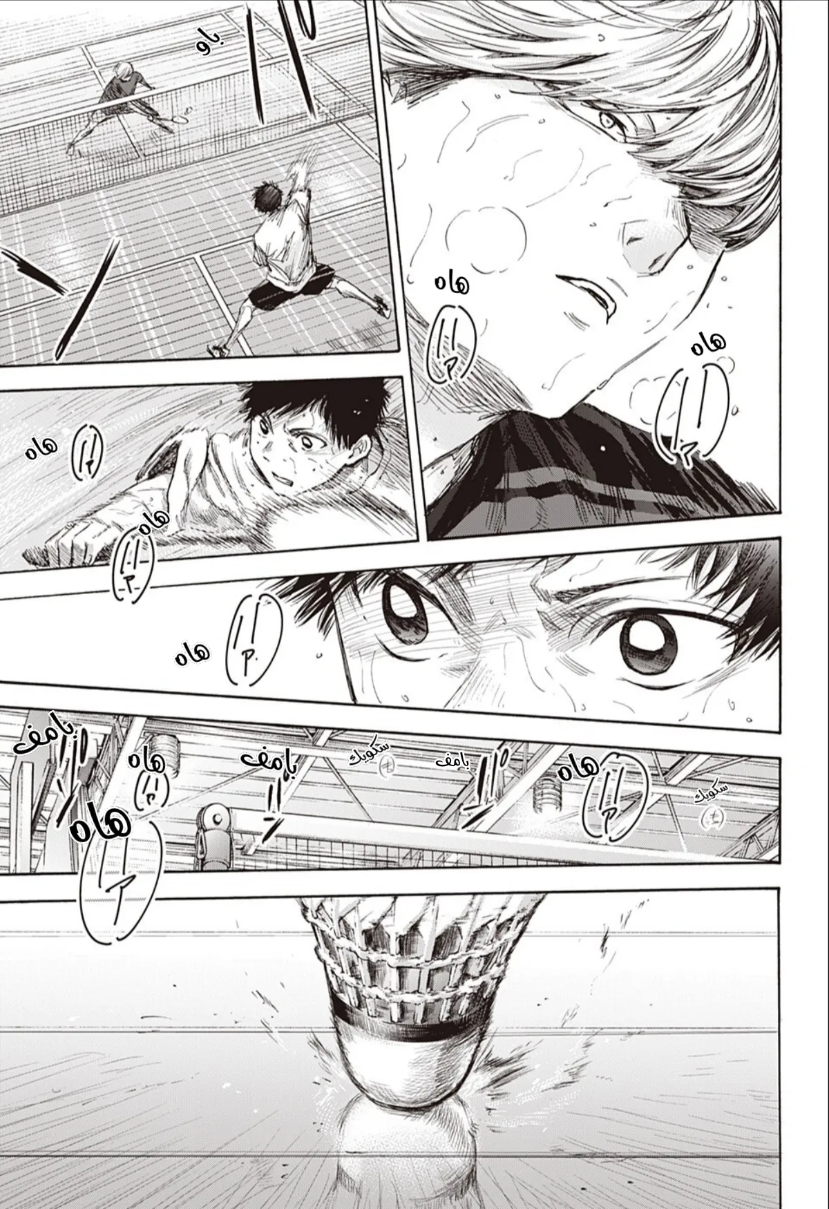 Read Blue Box AR Manga Online