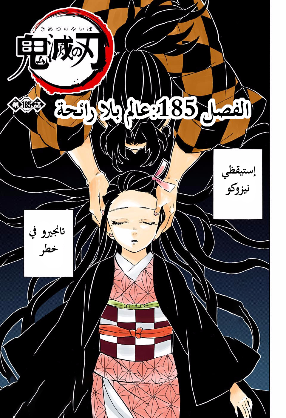 Read Demon Slayer Kimetsu no Yaiba AR Manga Online
