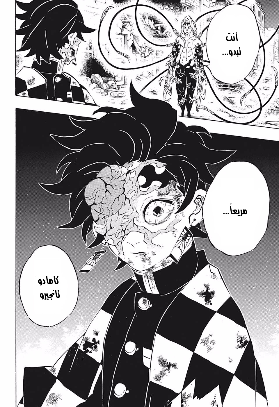 Read Demon Slayer Kimetsu no Yaiba AR Manga Online