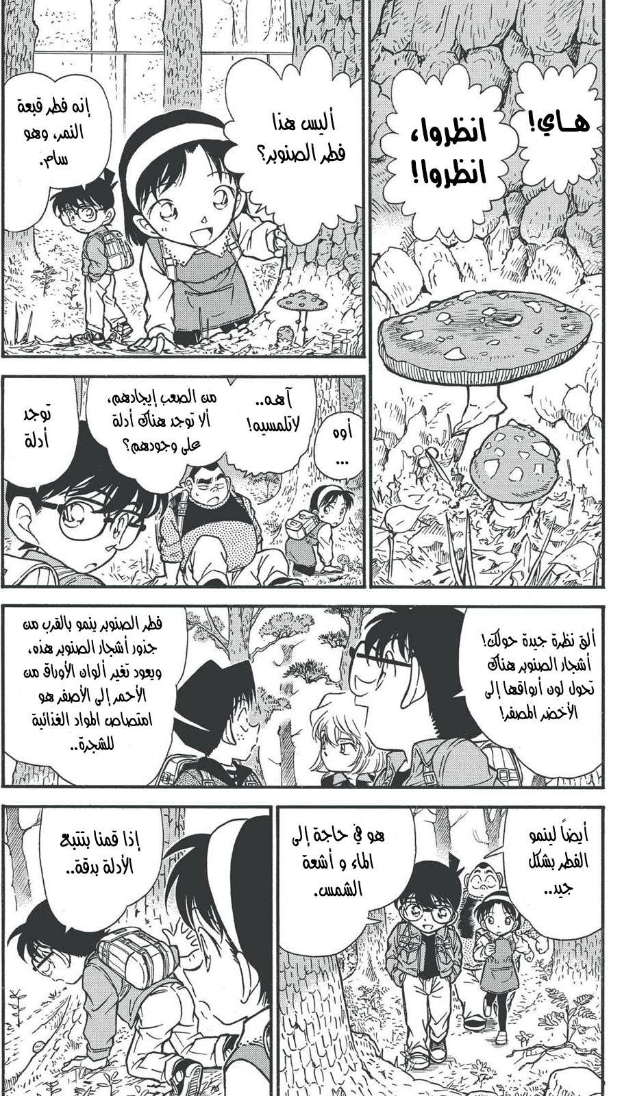 Read Detective Conan AR Manga Online