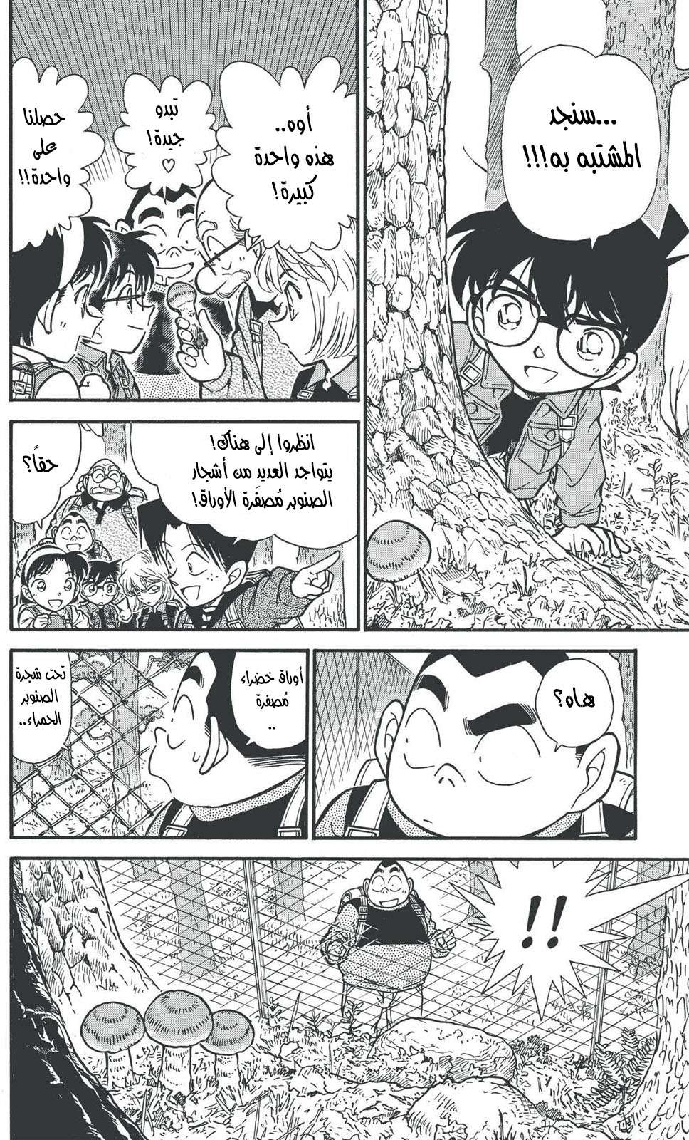 Read Detective Conan AR Manga Online