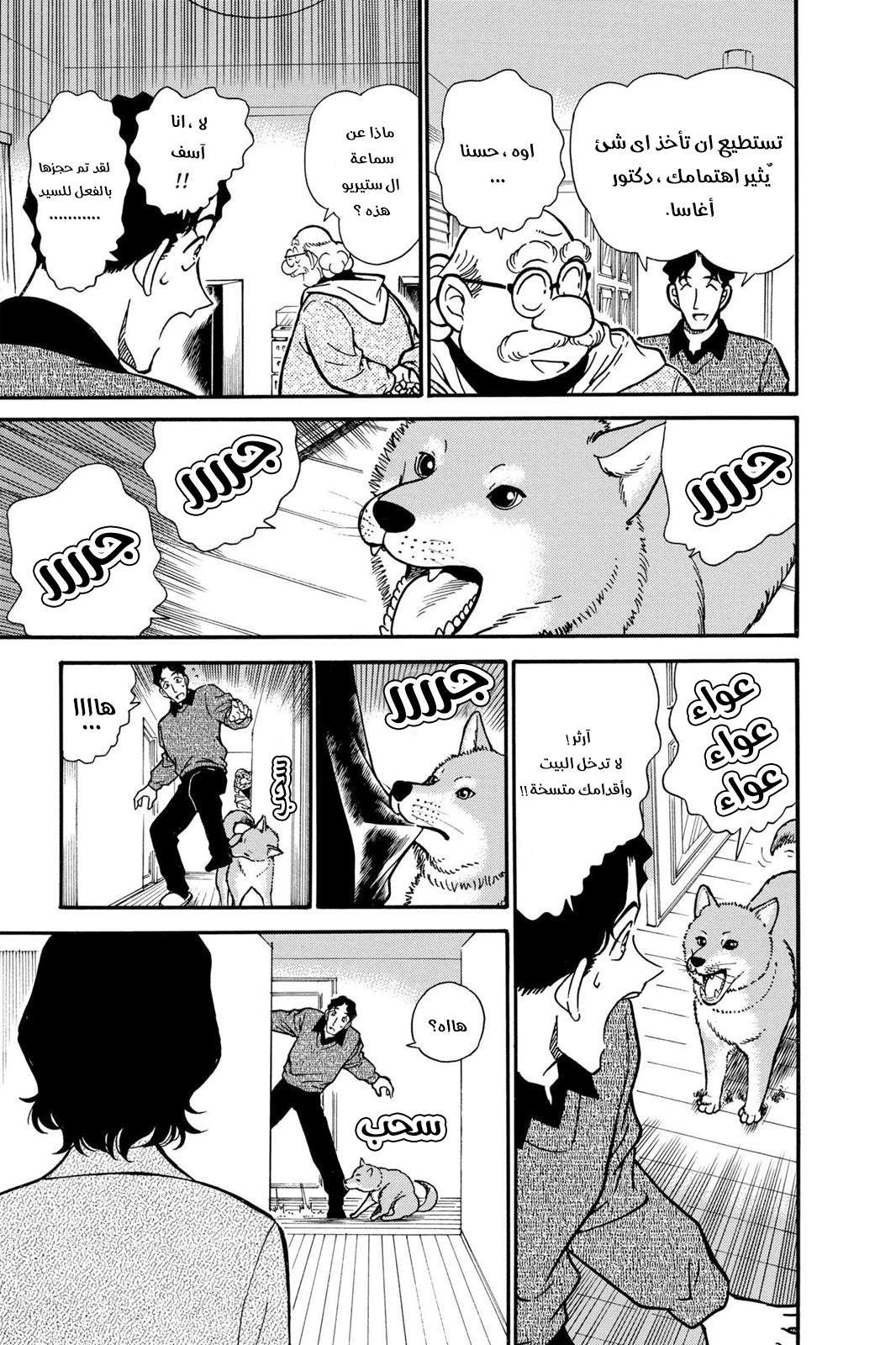 Read Detective Conan AR Manga Online