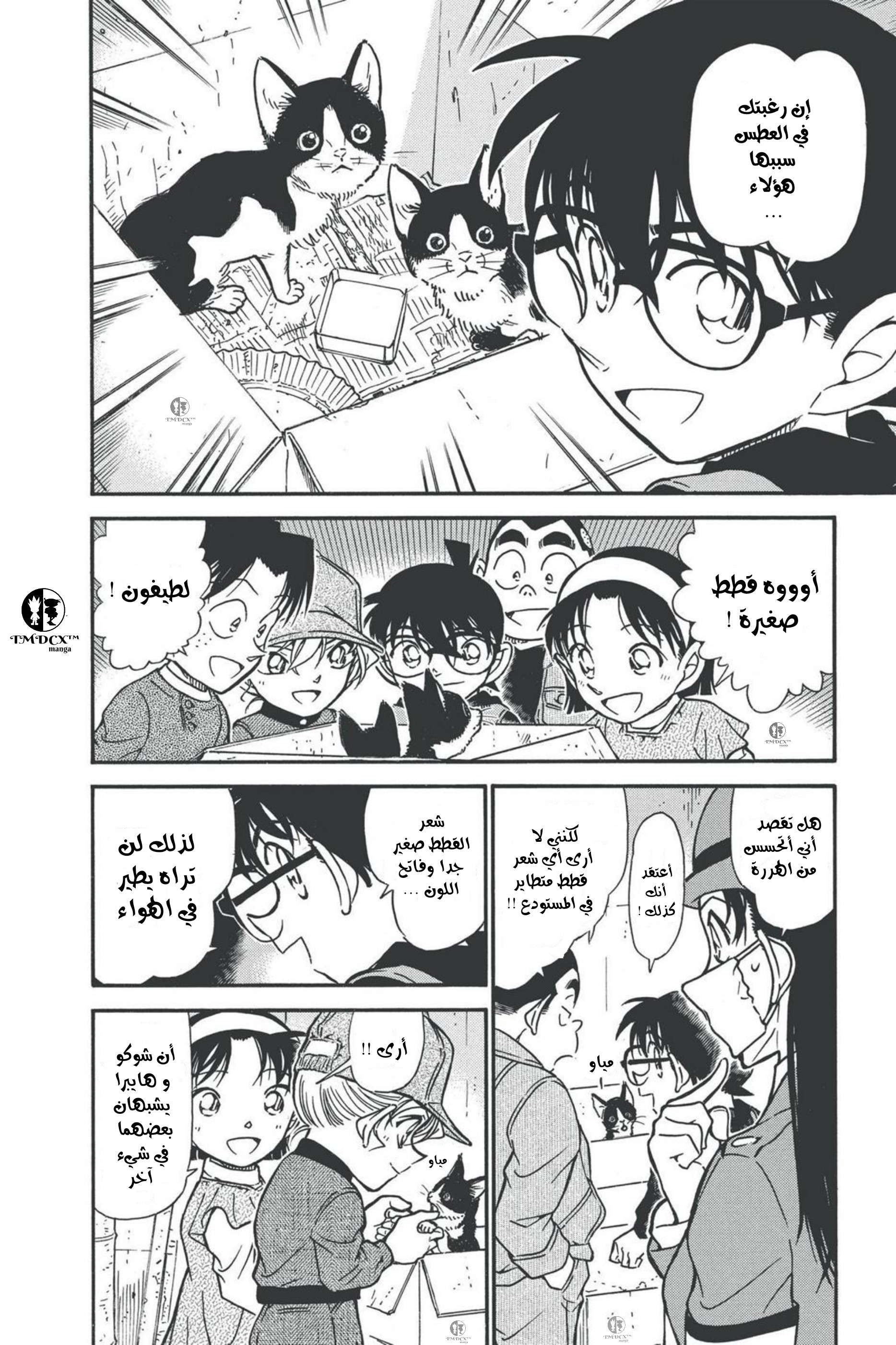 Read Detective Conan AR Manga Online