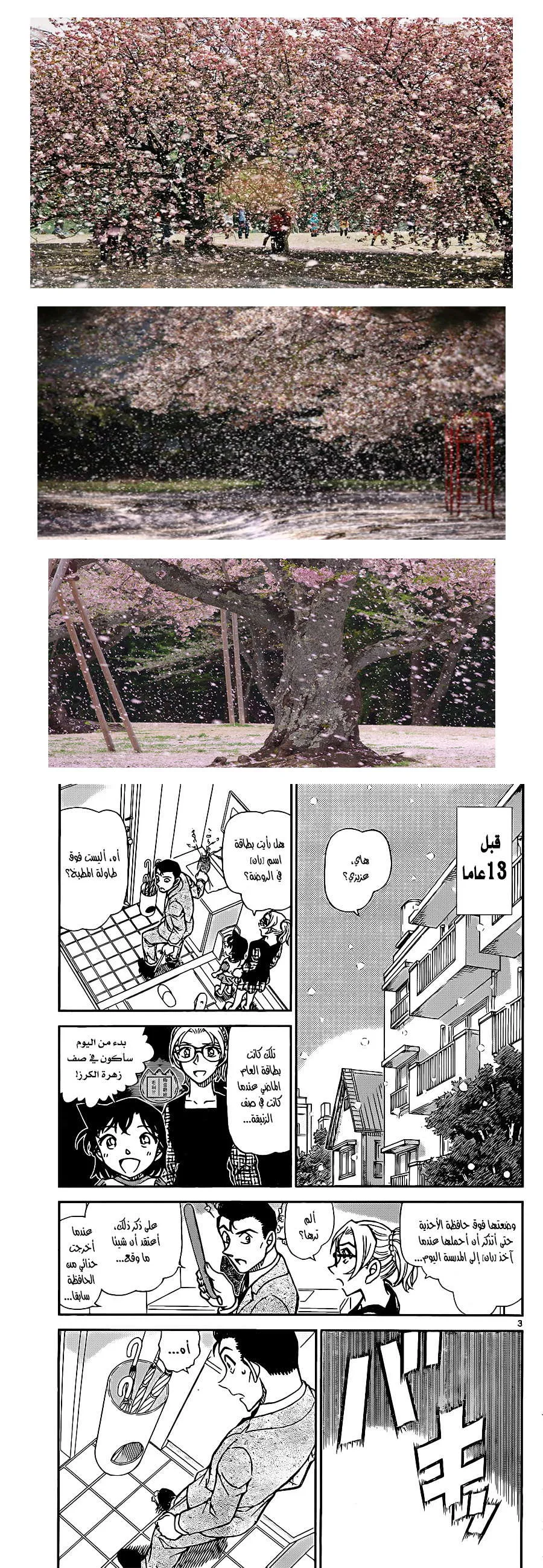 Read Detective Conan AR Manga Online
