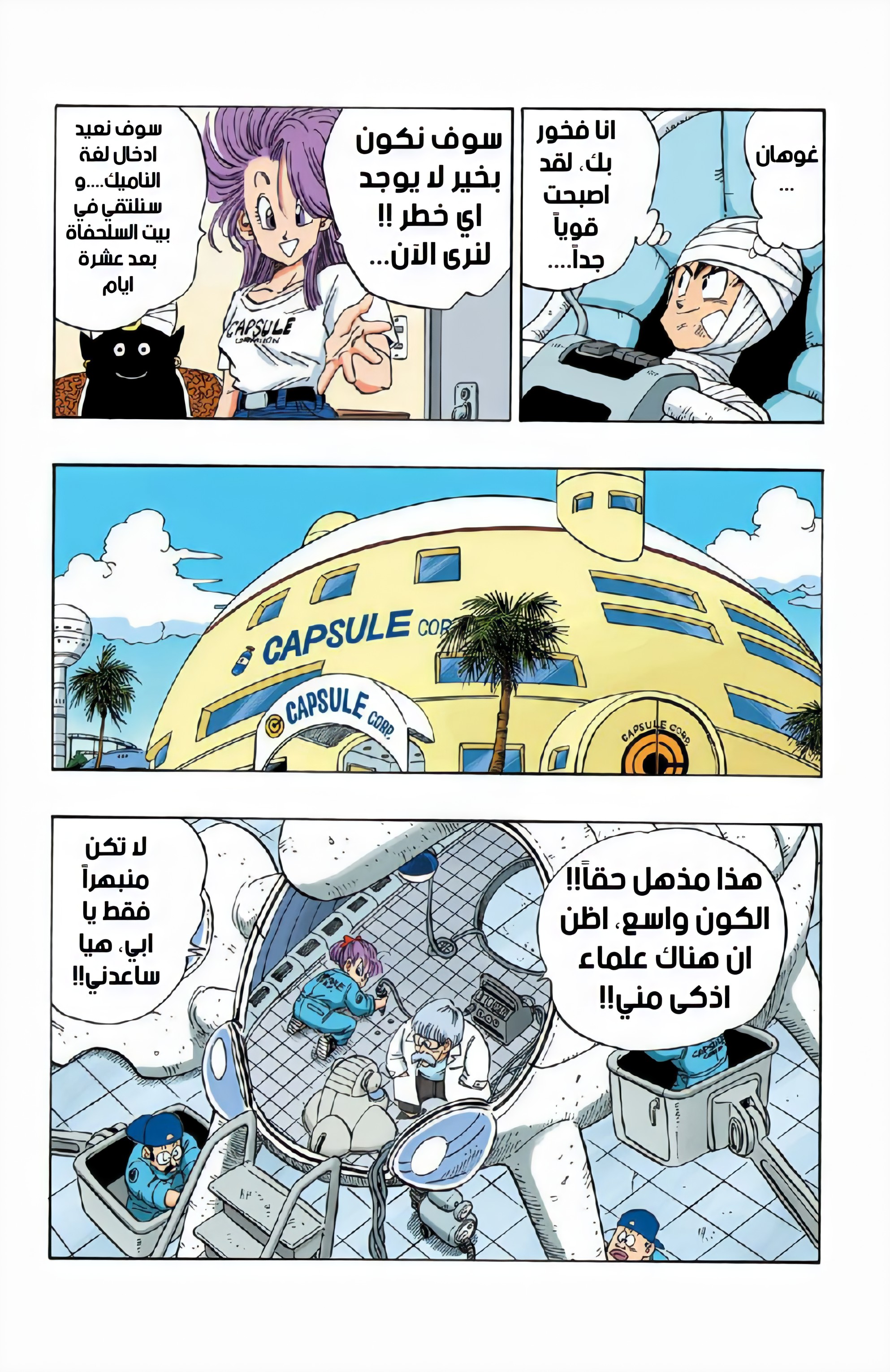 Read Dragon Ball AR Manga Online