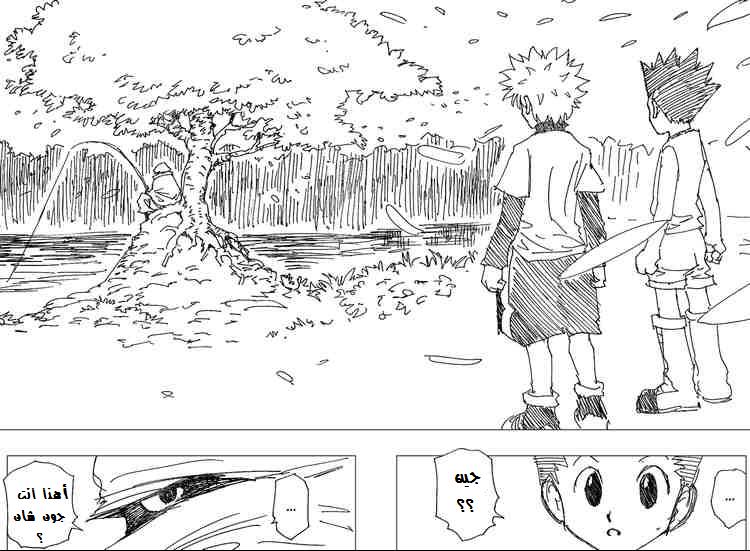 Read Hunter x Hunter AR Manga Online