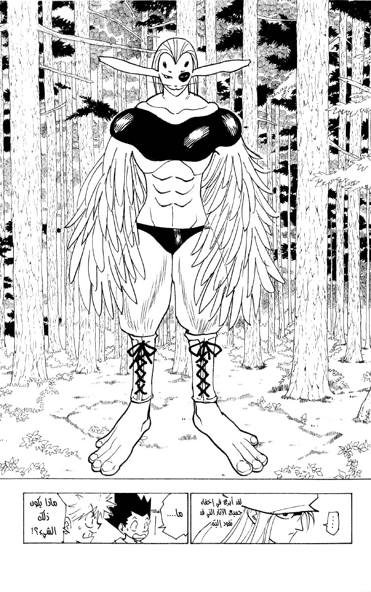 Read Hunter x Hunter AR Manga Online