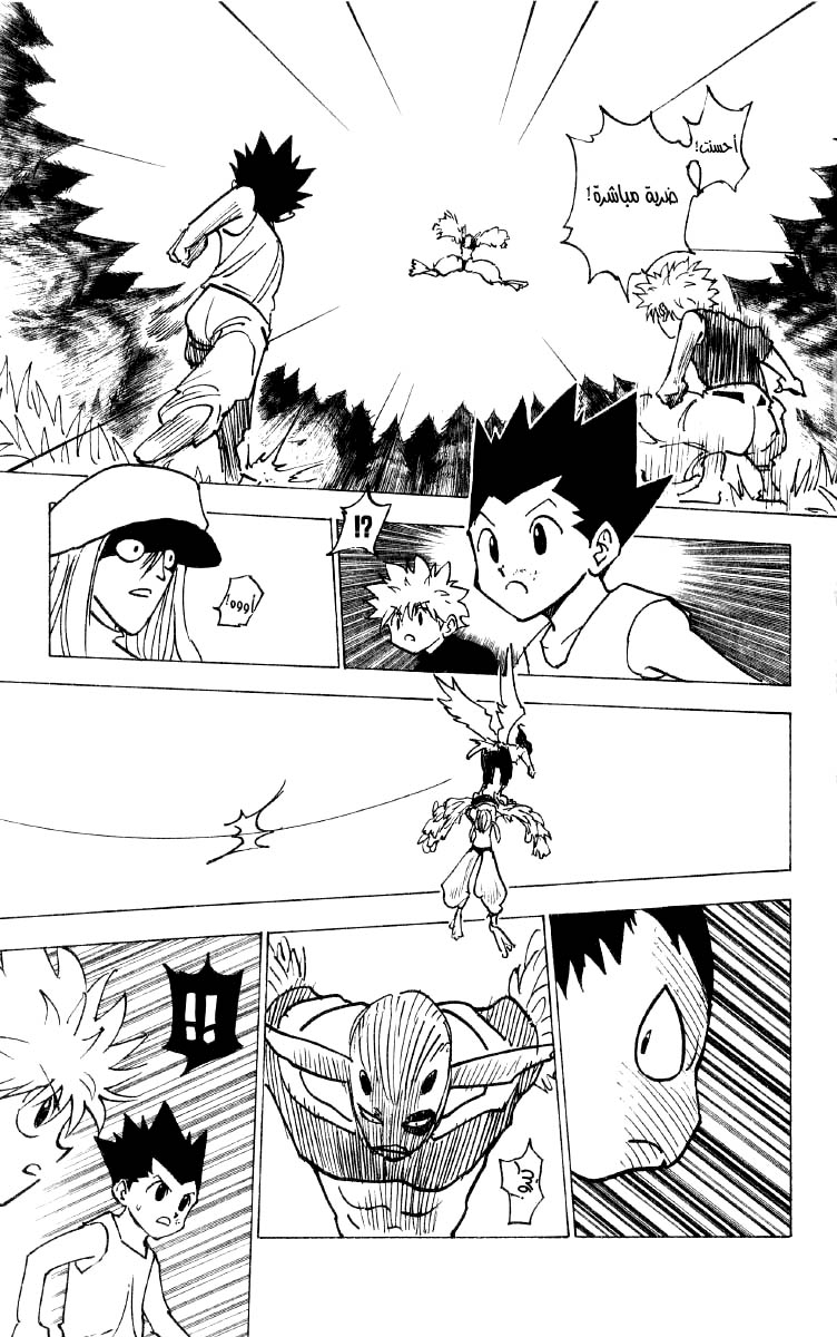 Read Hunter x Hunter AR Manga Online