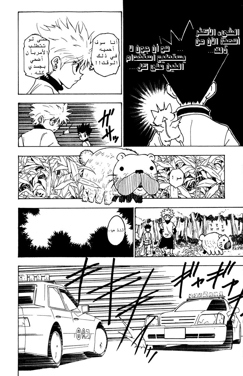 Read Hunter x Hunter AR Manga Online