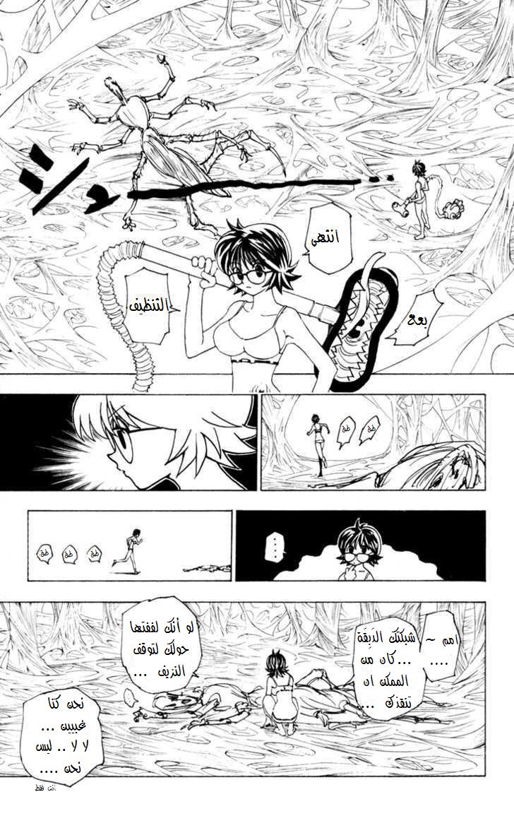 Read Hunter x Hunter AR Manga Online