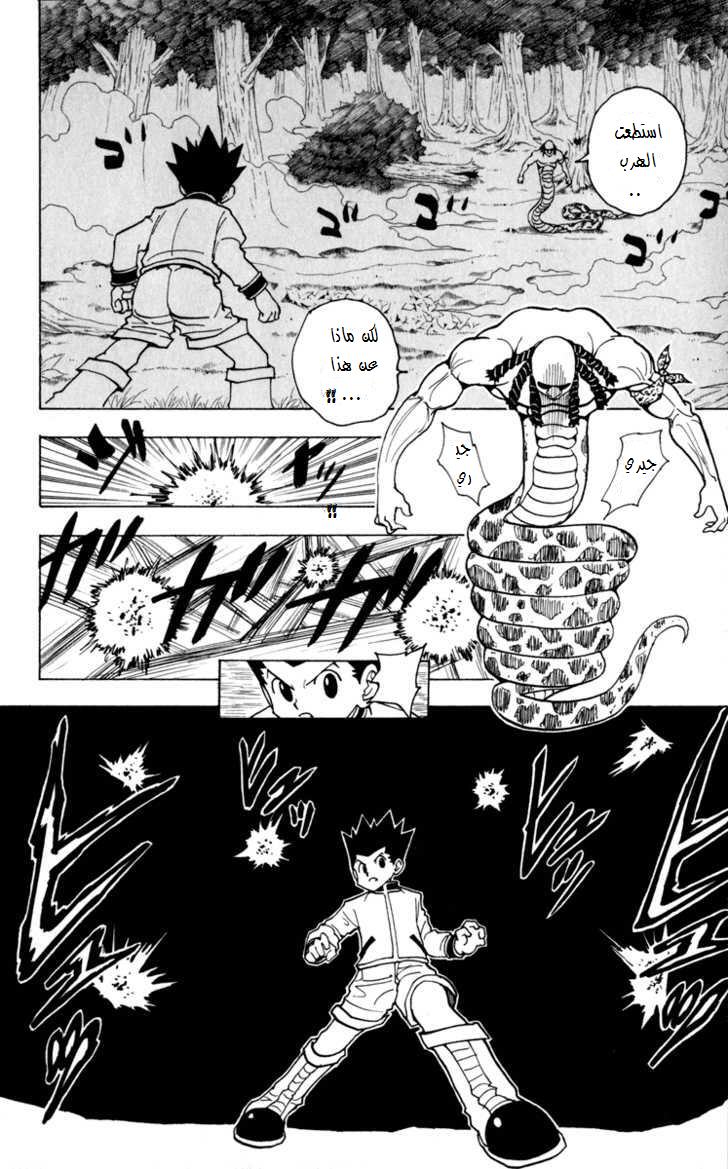 Read Hunter x Hunter AR Manga Online