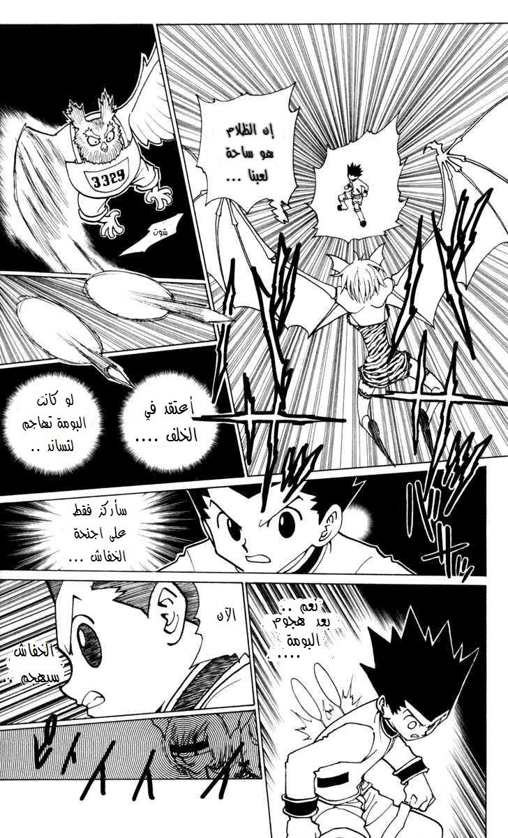 Read Hunter x Hunter AR Manga Online