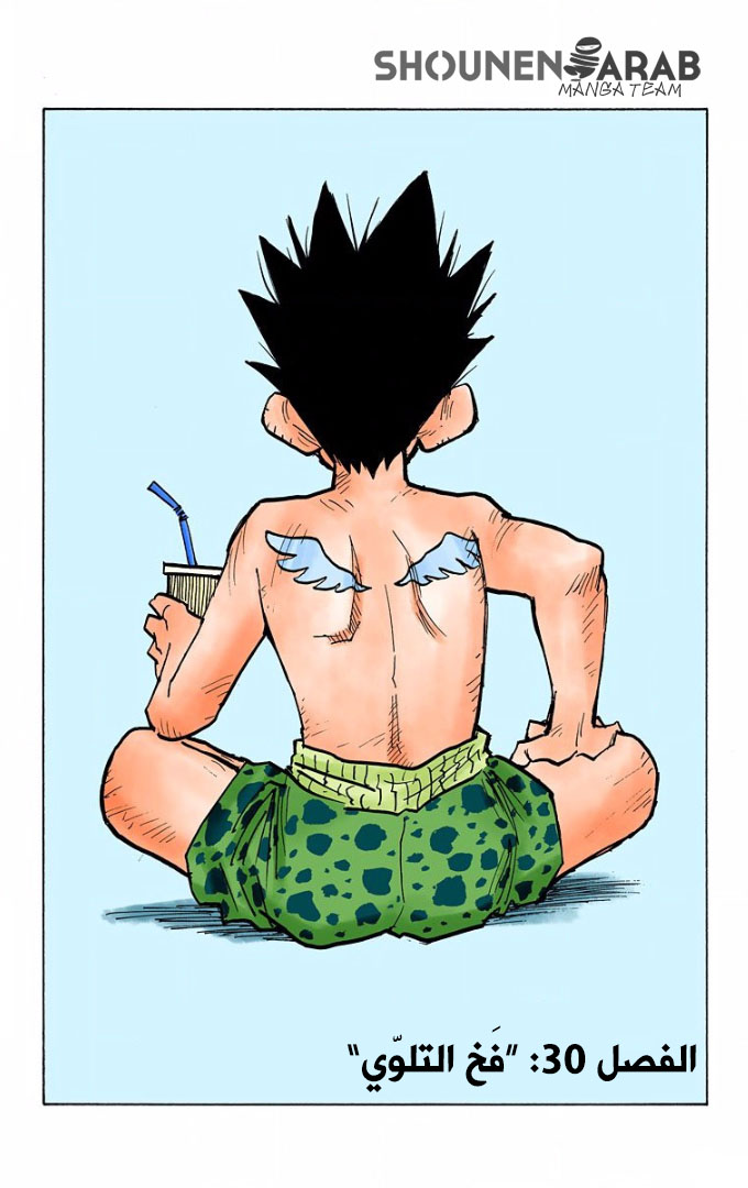 Read Hunter x Hunter AR Manga Online