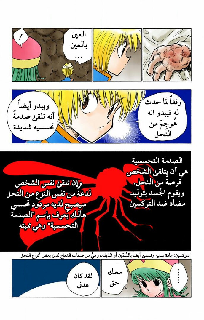Read Hunter x Hunter AR Manga Online