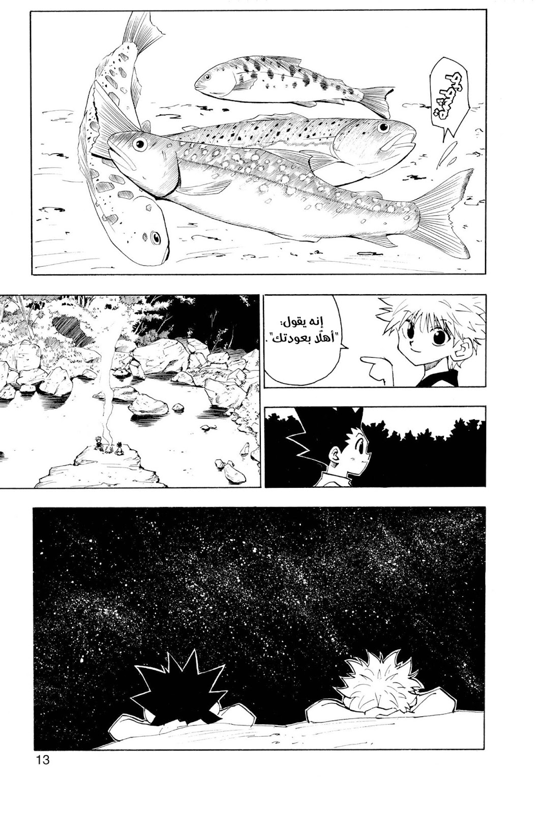 Read Hunter x Hunter AR Manga Online