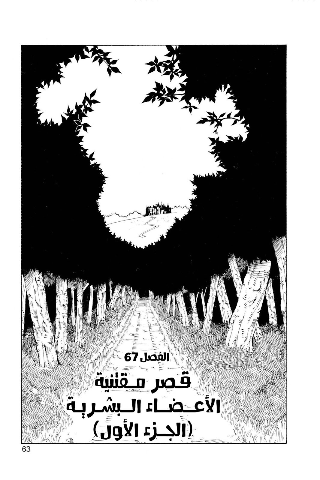 Read Hunter x Hunter AR Manga Online
