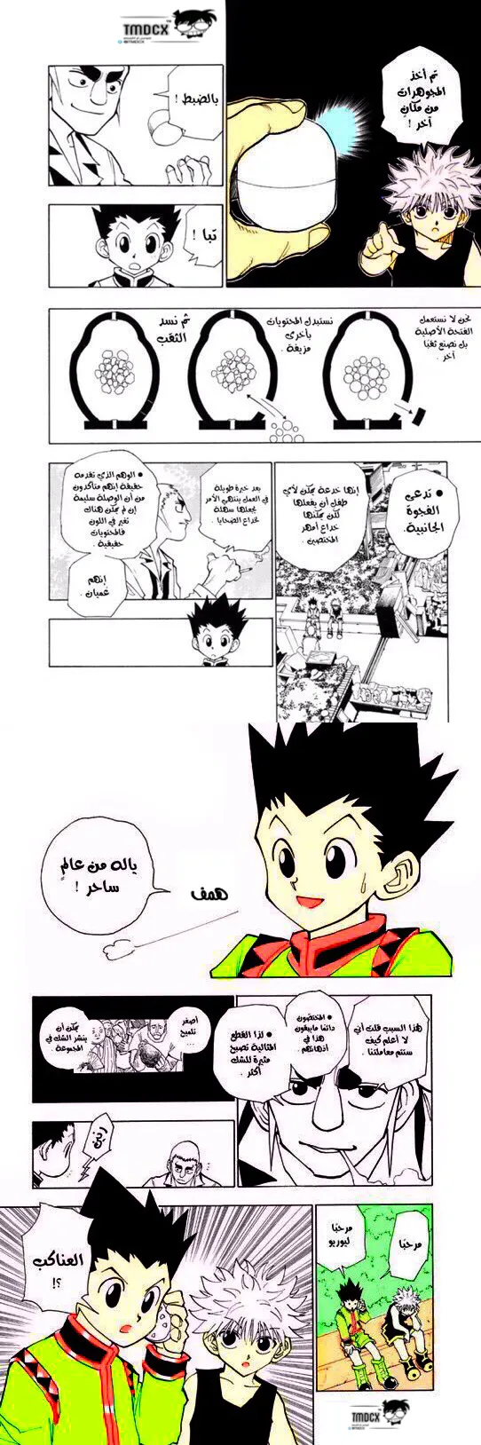 Read Hunter x Hunter AR Manga Online