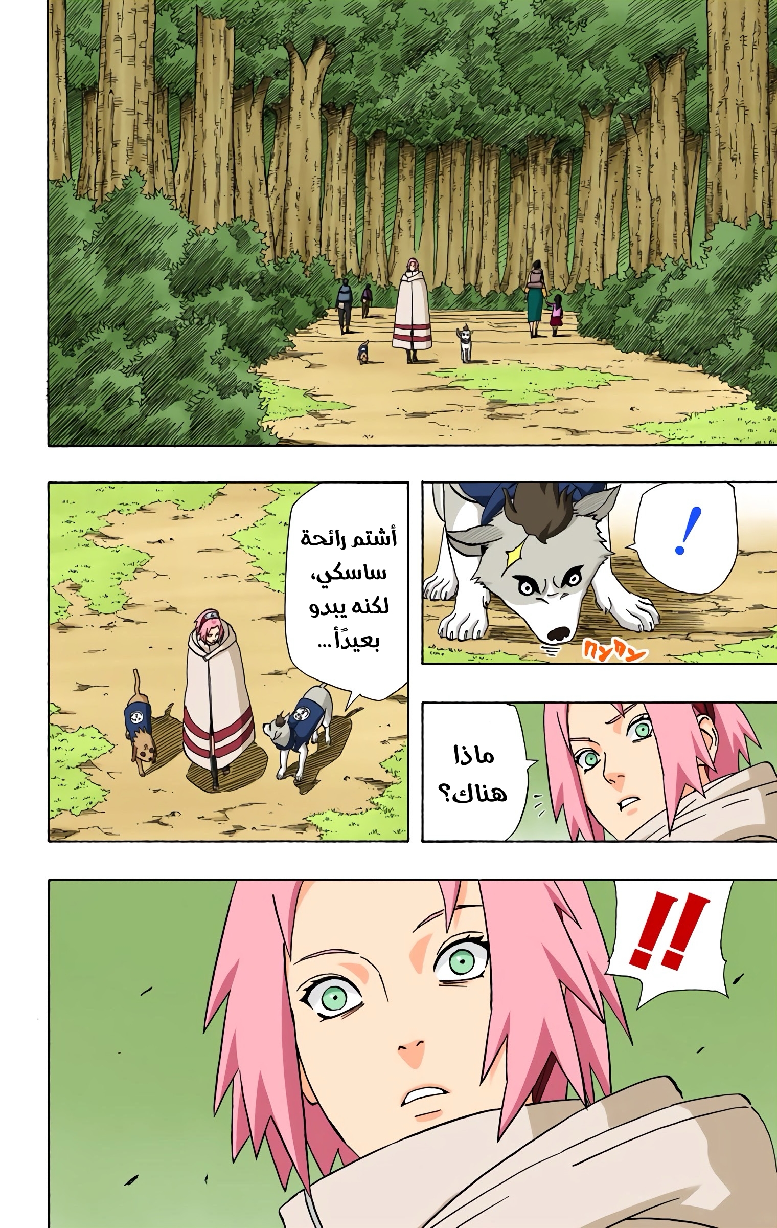 Read Naruto AR Manga Online