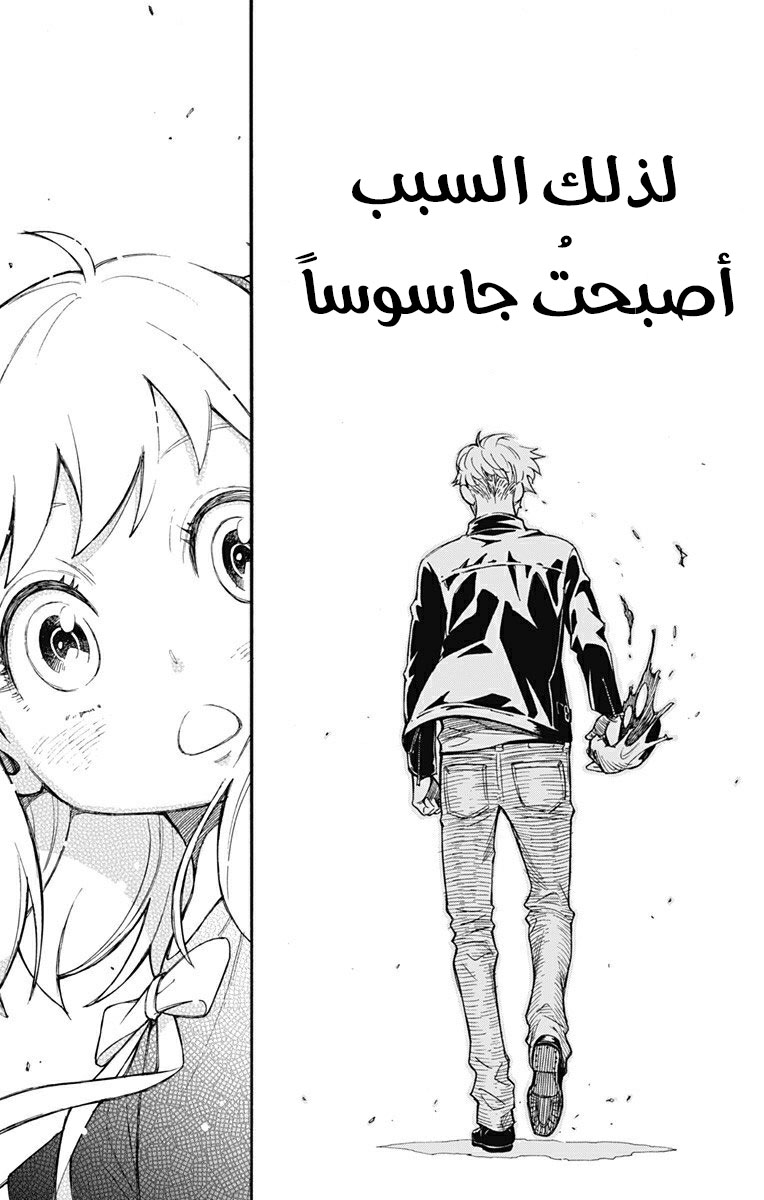 Read Spy x Family AR Manga Online