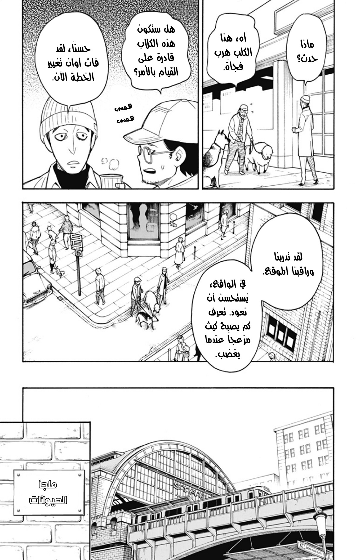 Read Spy x Family AR Manga Online