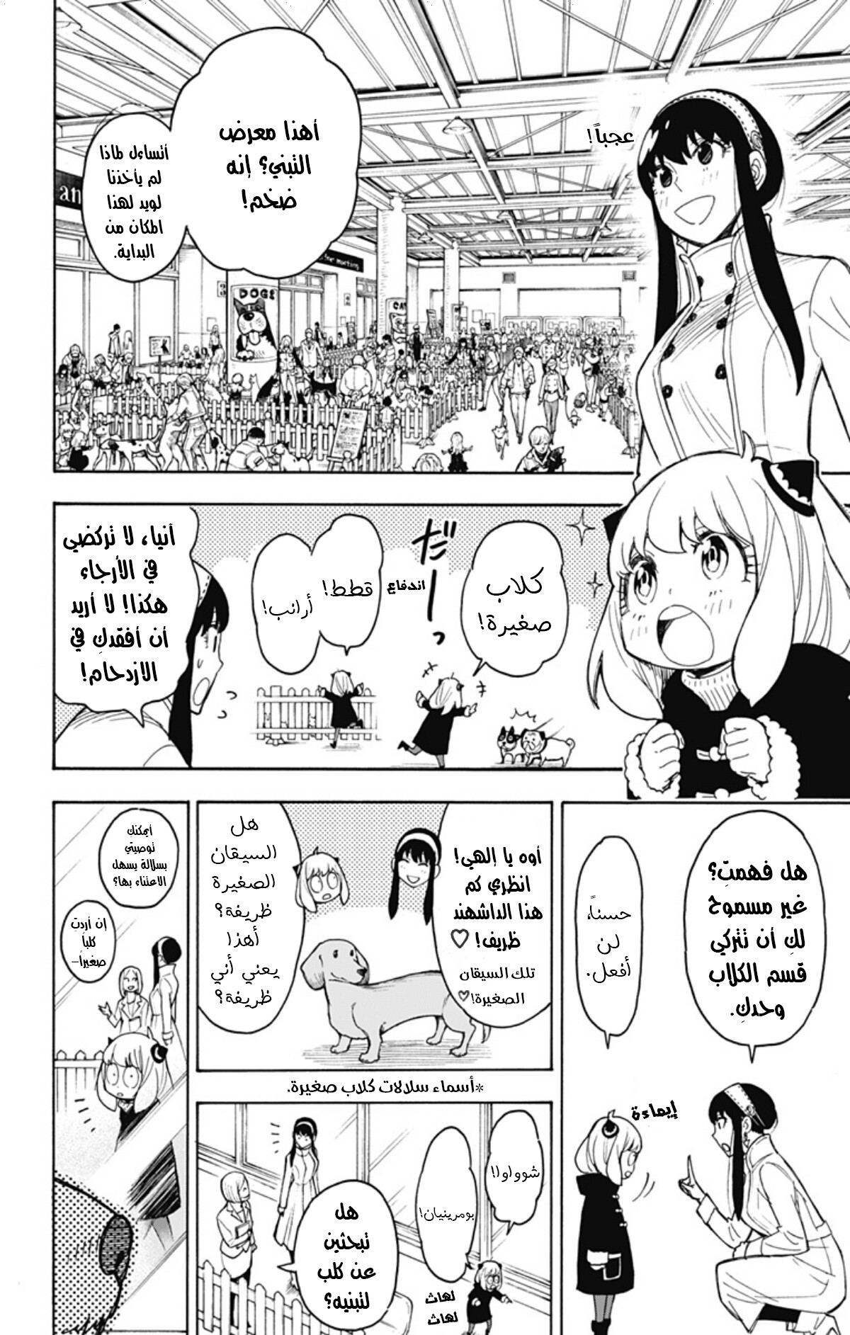 Read Spy x Family AR Manga Online