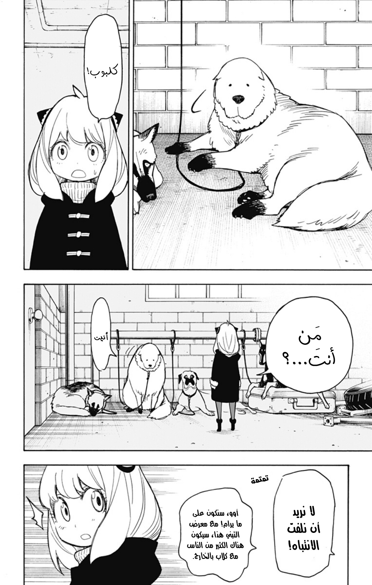 Read Spy x Family AR Manga Online