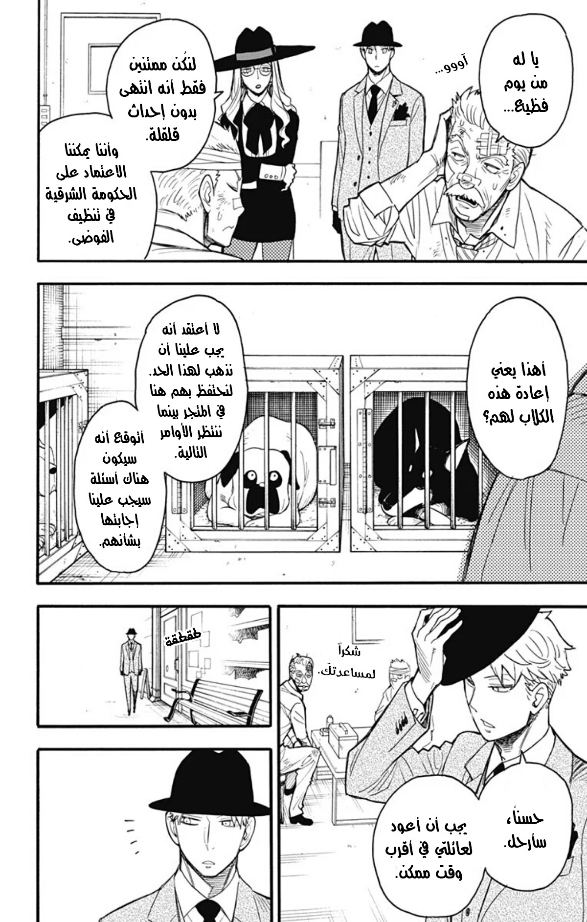 Read Spy x Family AR Manga Online