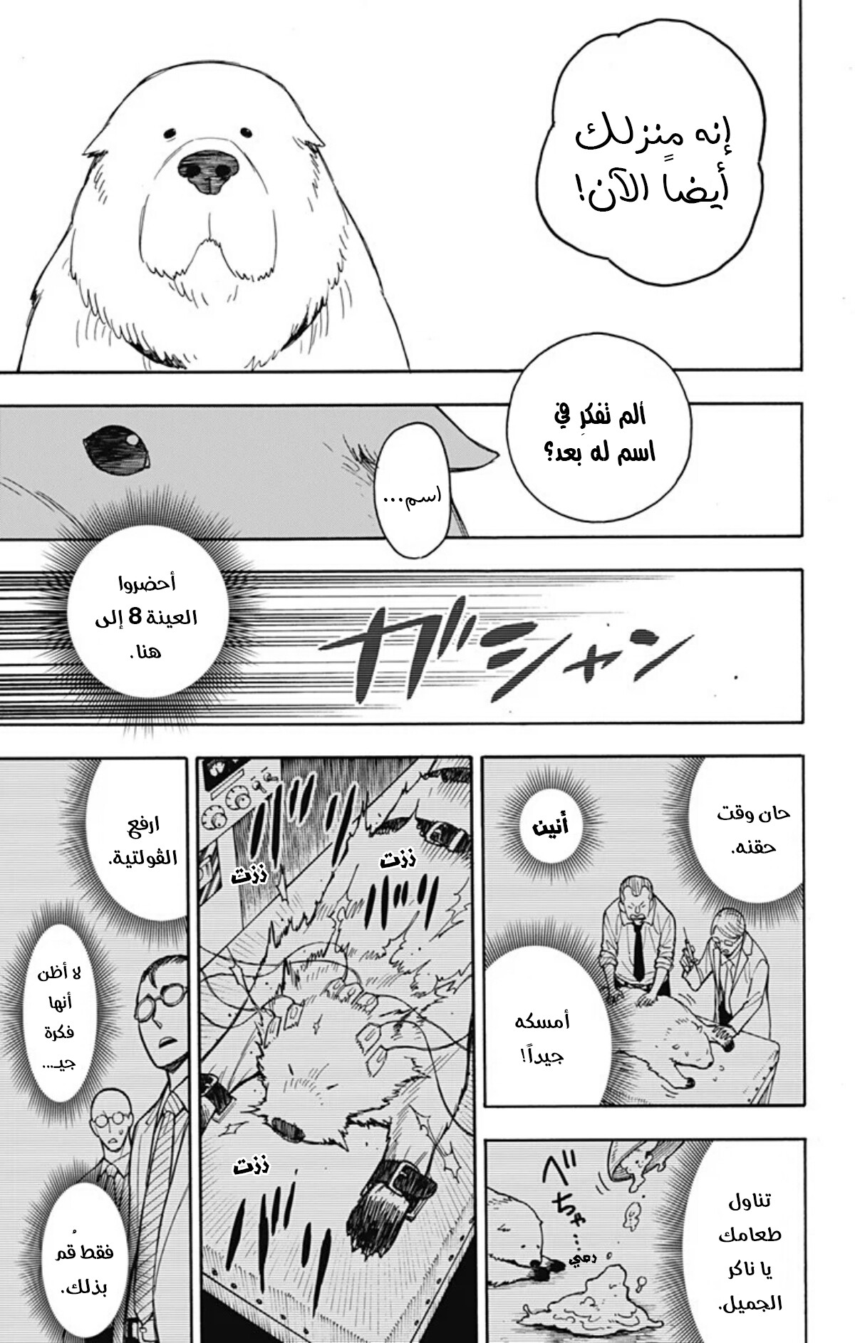 Read Spy x Family AR Manga Online