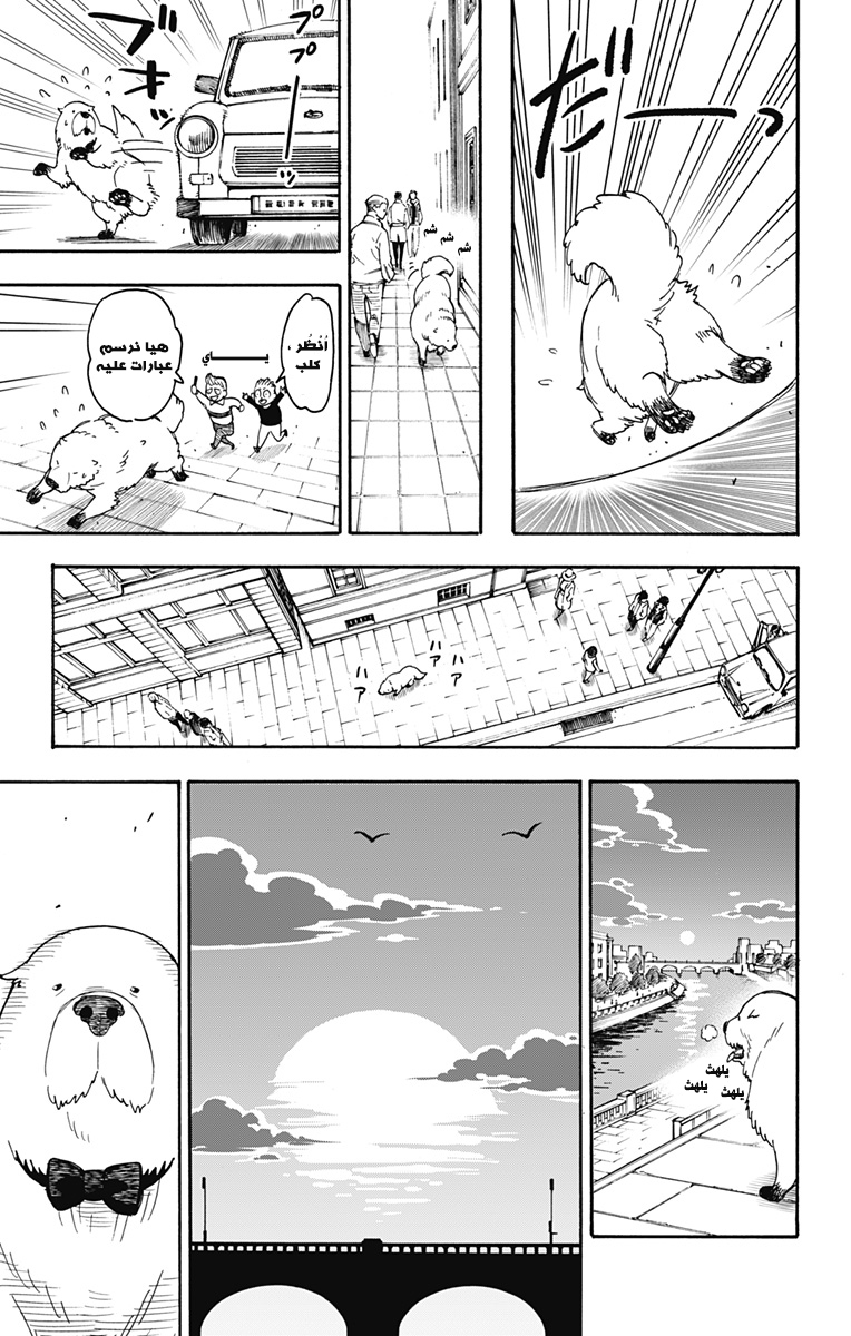 Read Spy x Family AR Manga Online
