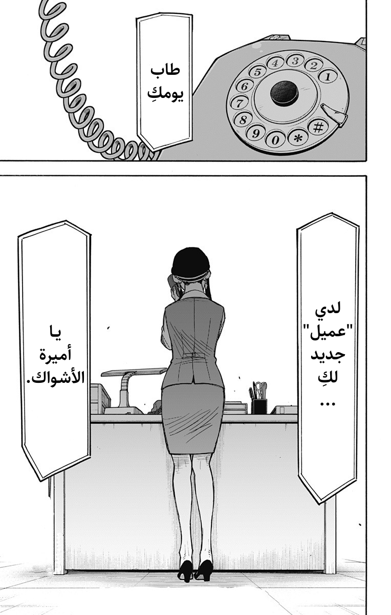 Read Spy x Family AR Manga Online
