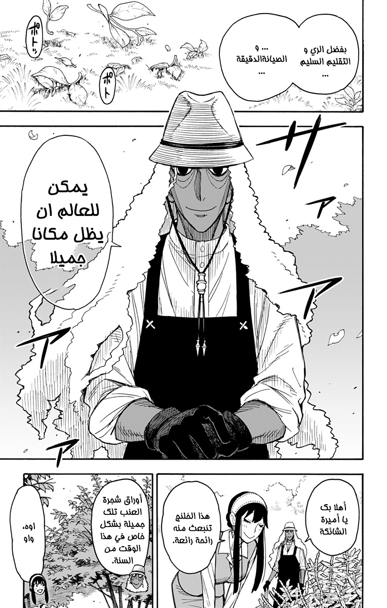 Read Spy x Family AR Manga Online