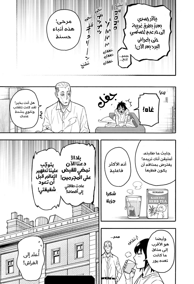 Read Spy x Family AR Manga Online