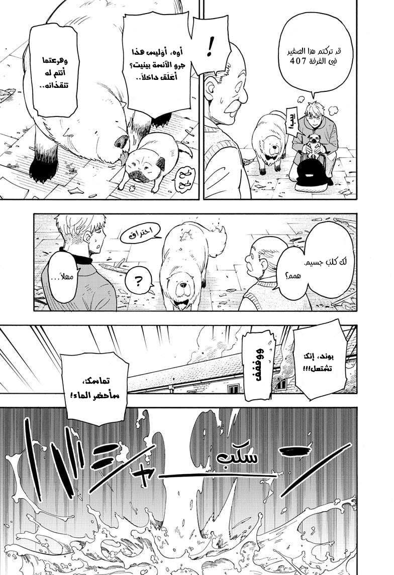Read Spy x Family AR Manga Online