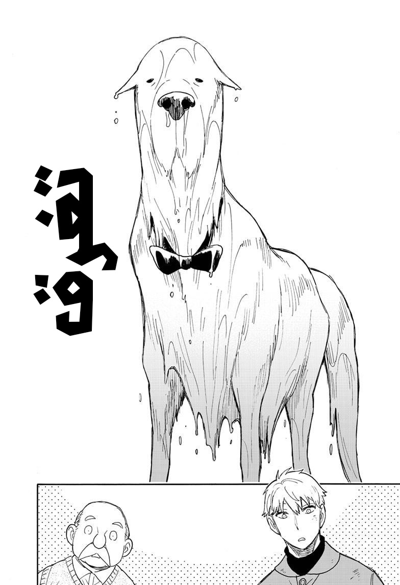 Read Spy x Family AR Manga Online