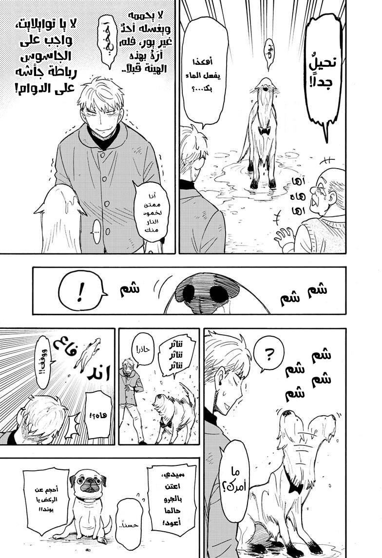 Read Spy x Family AR Manga Online