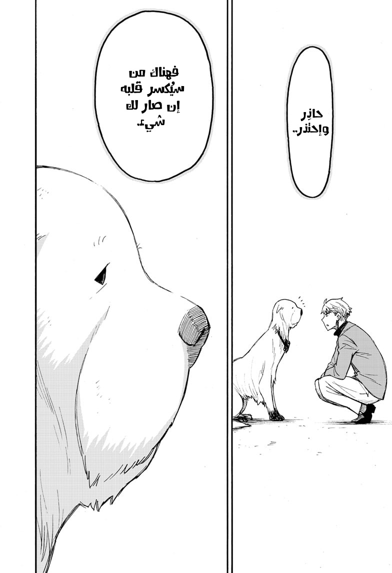Read Spy x Family AR Manga Online