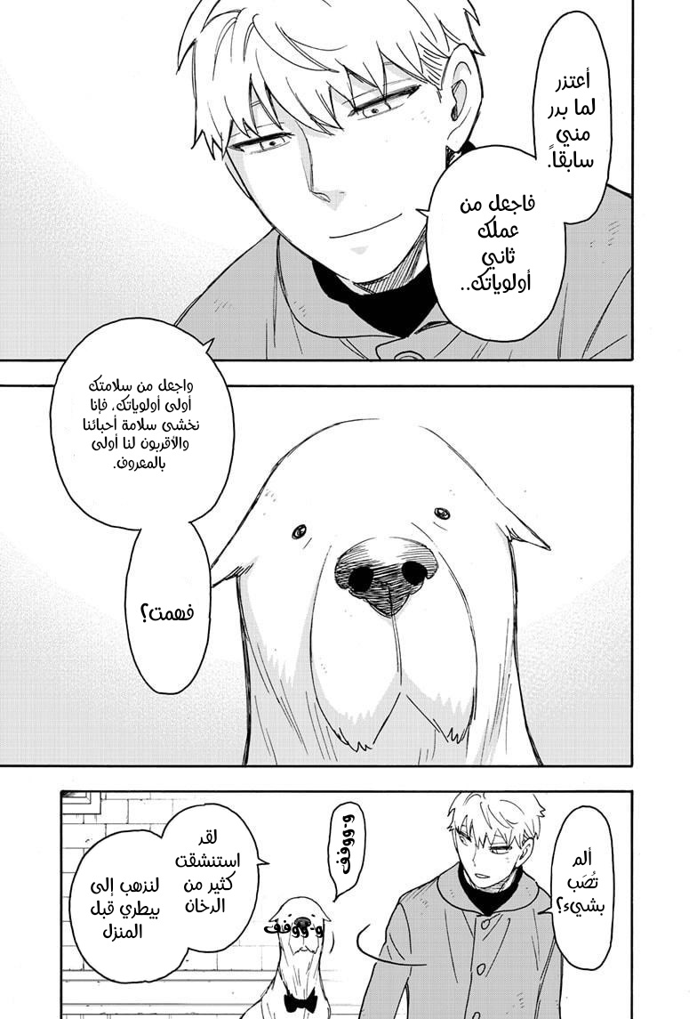Read Spy x Family AR Manga Online
