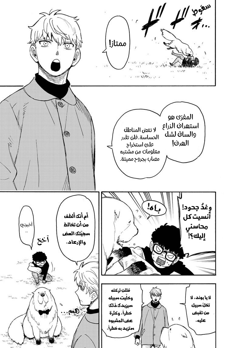 Read Spy x Family AR Manga Online