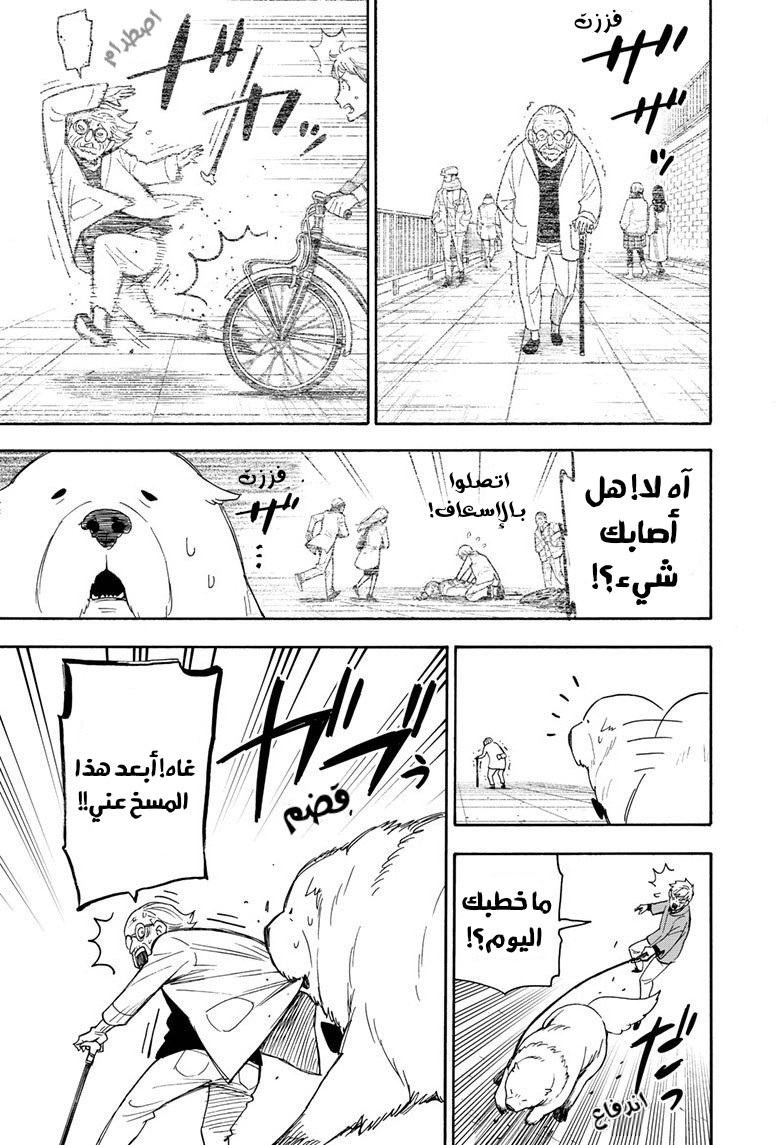 Read Spy x Family AR Manga Online