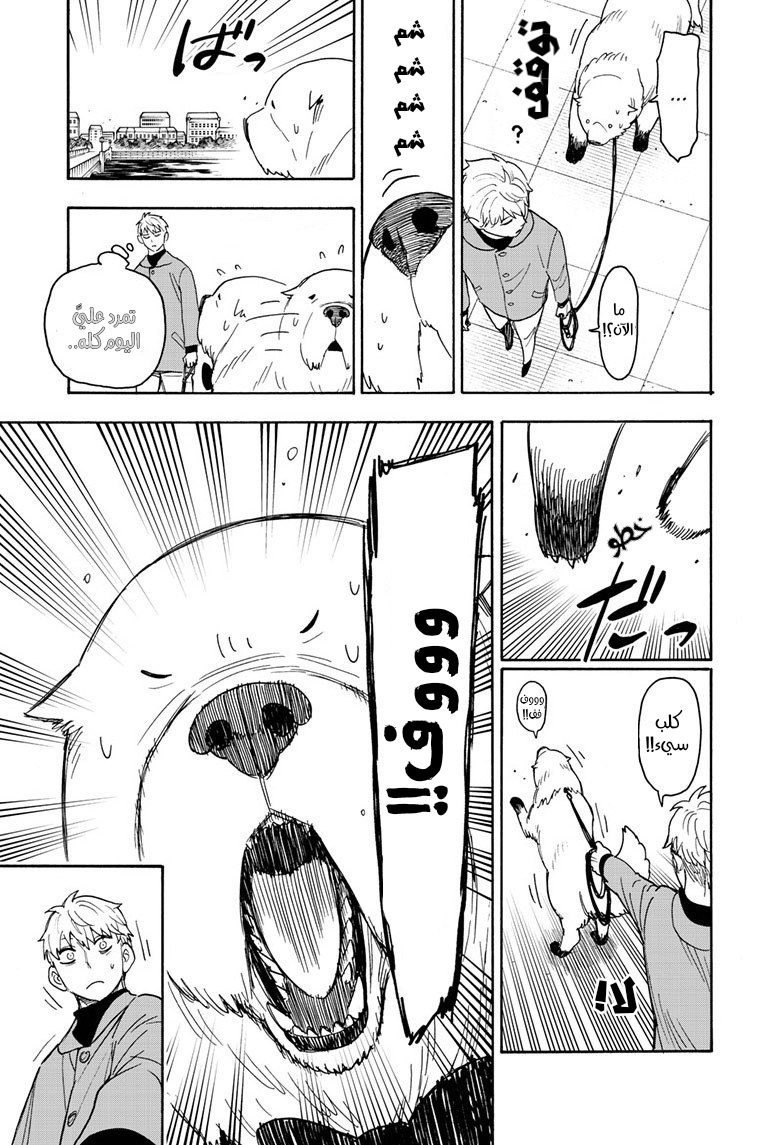Read Spy x Family AR Manga Online