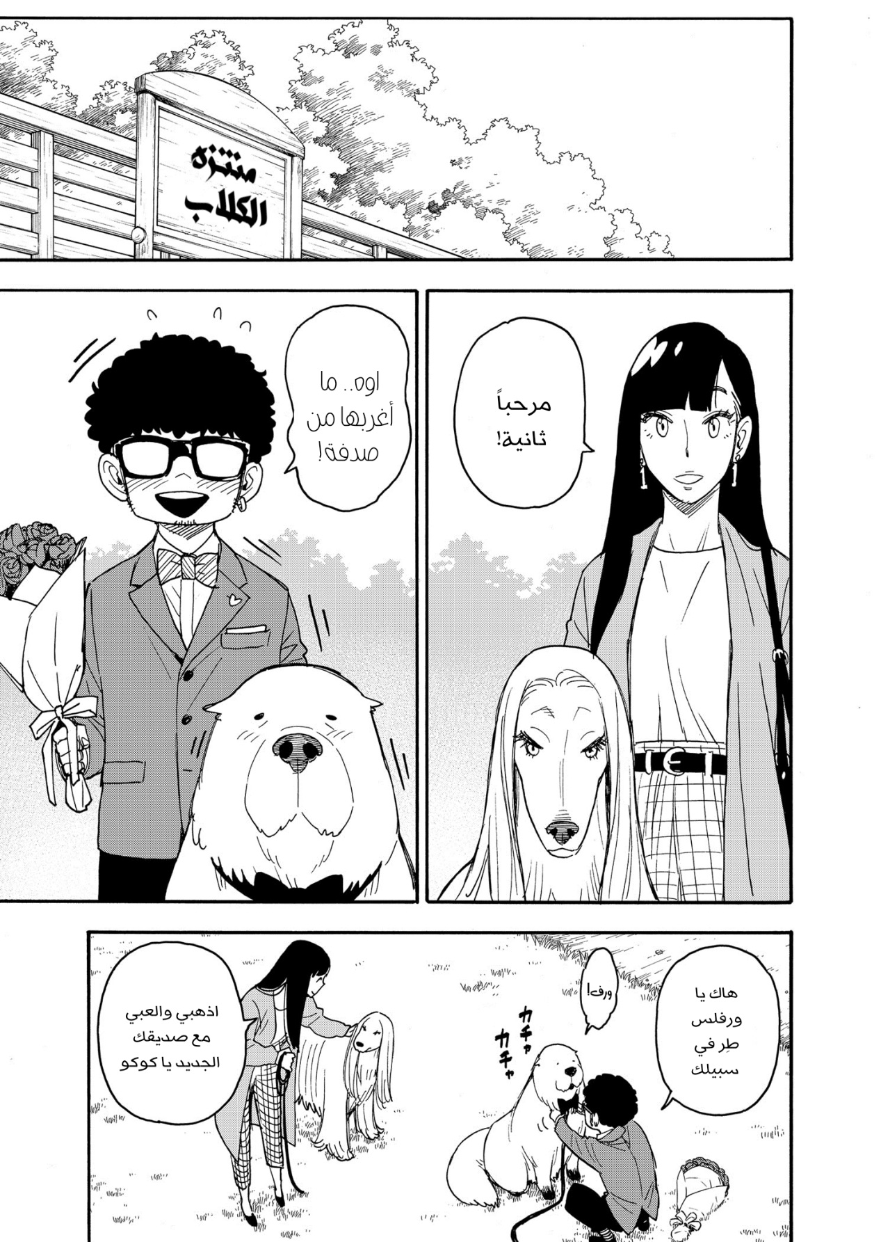 Read Spy x Family AR Manga Online