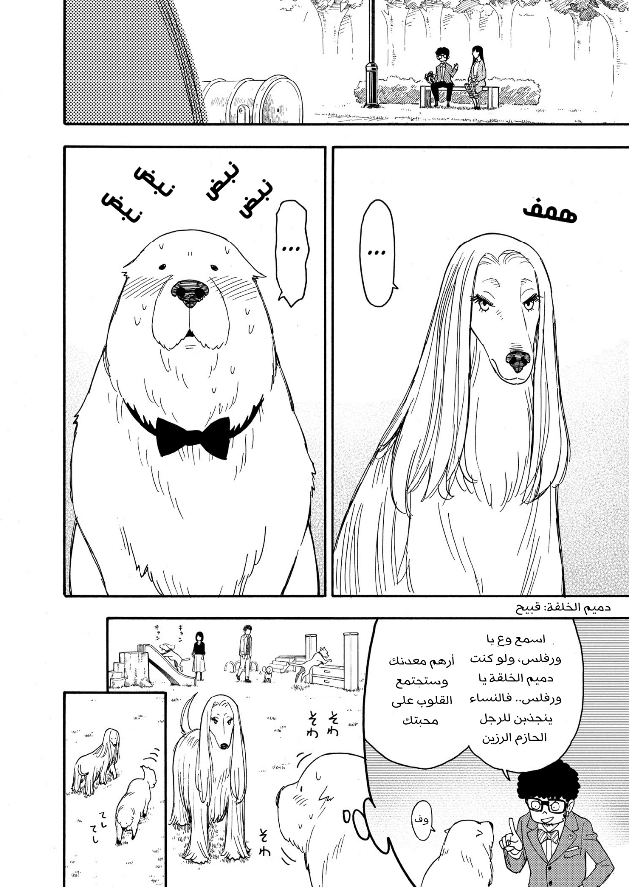 Read Spy x Family AR Manga Online