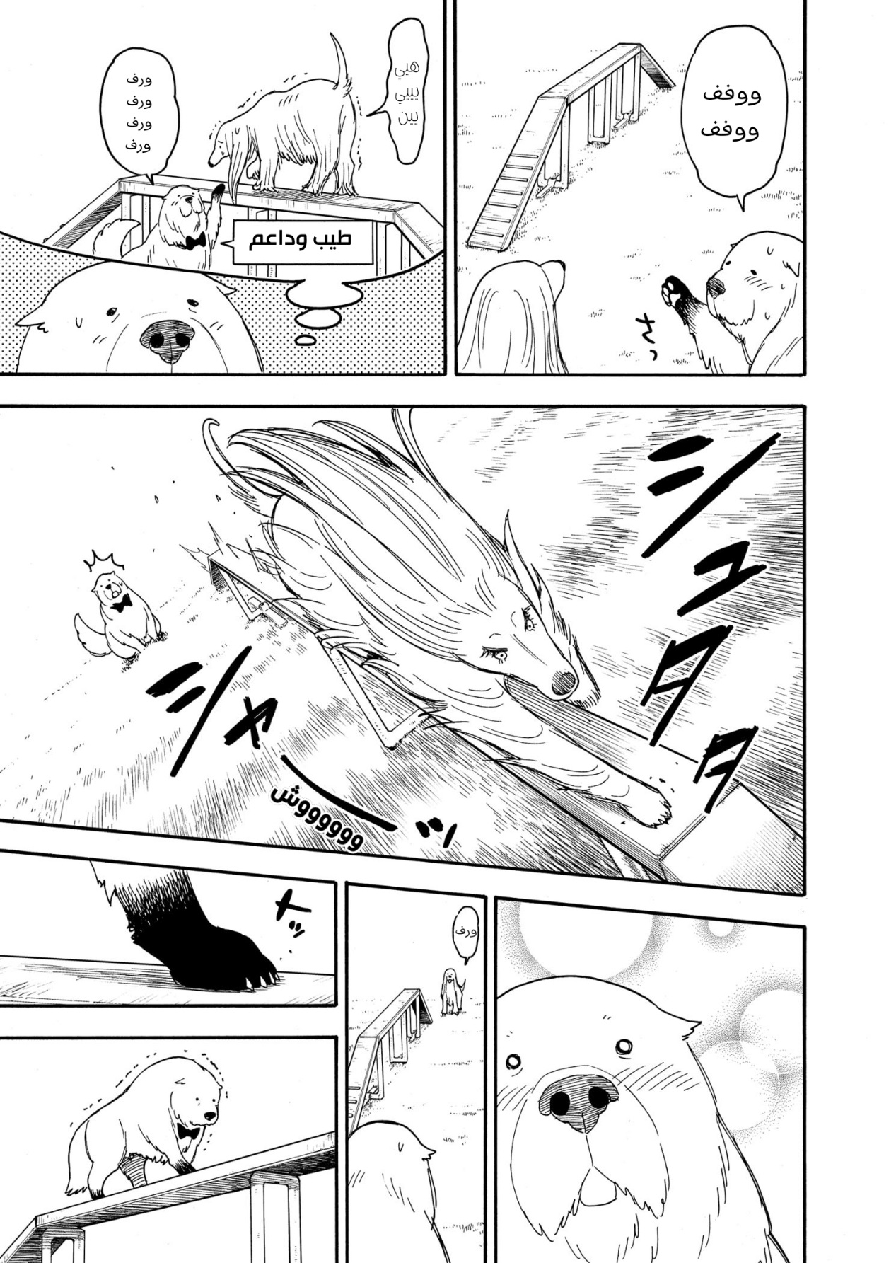 Read Spy x Family AR Manga Online