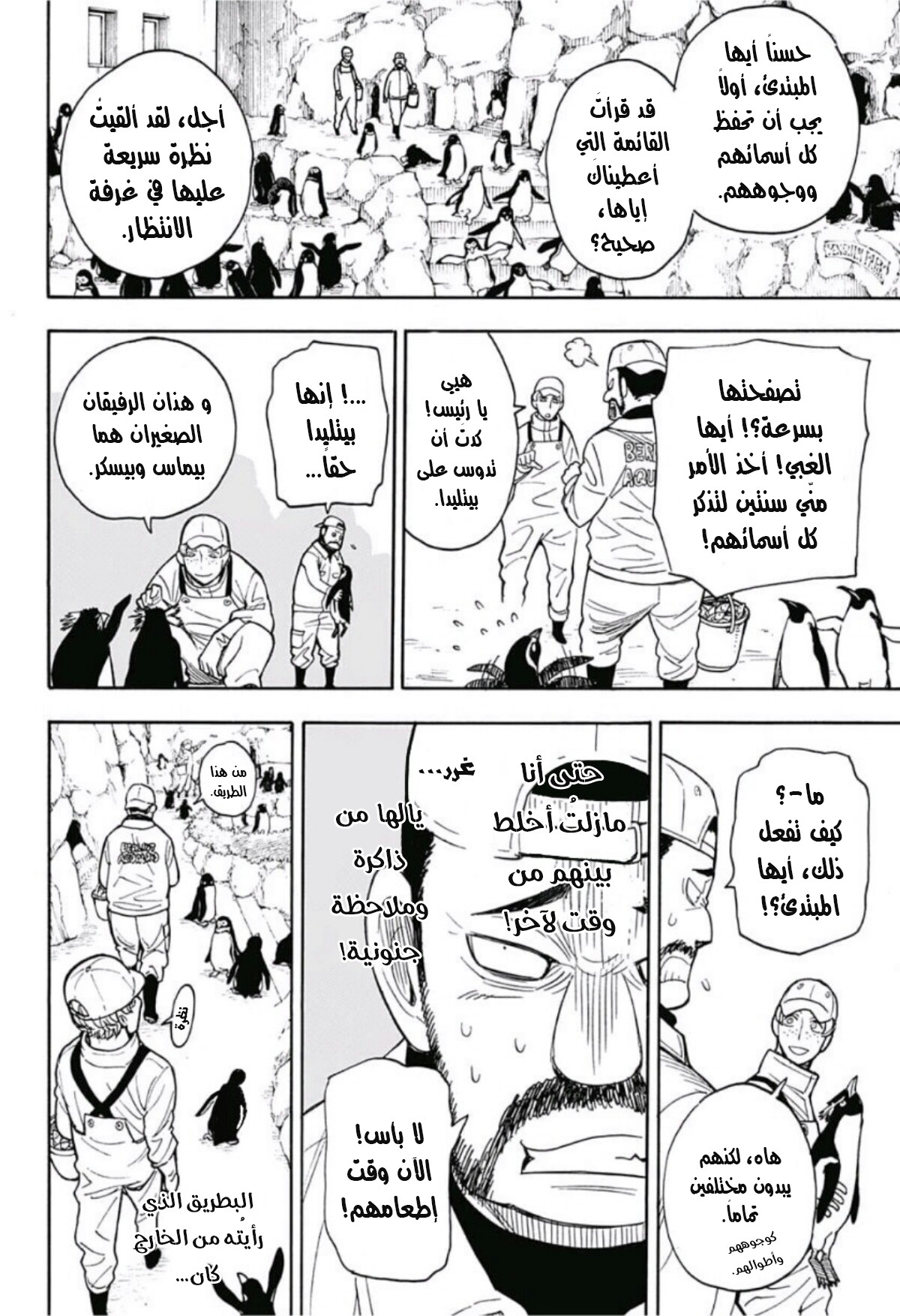 Read Spy x Family AR Manga Online